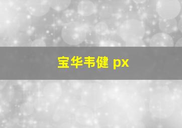 宝华韦健 px